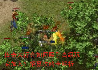 传奇大行会如何吸引高级玩家加入?招募攻略全解析 传奇大行会如何吸引高级玩家加入?招募攻略全解析