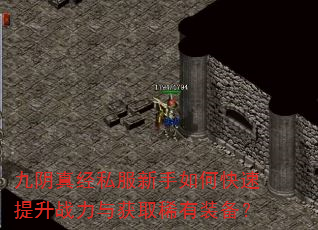 九阴真经私服新手如何快速提升战力与获取稀有装备? 九阴真经私服新手如何快速提升战力与获取稀有装备?