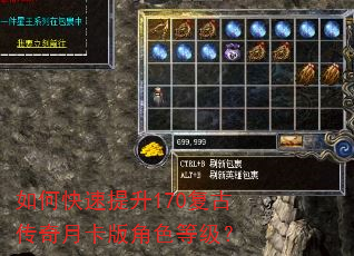 如何快速提升170复古传奇月卡版角色等级? 如何快速提升170复古传奇月卡版角色等级?