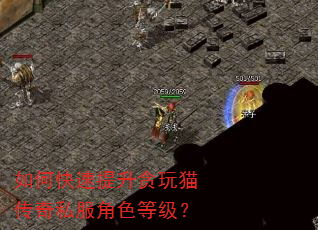 如何快速提升贪玩猫传奇私服角色等级? 如何快速提升贪玩猫传奇私服角色等级?