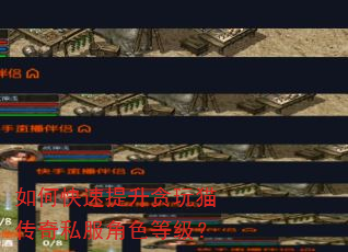 如何快速提升贪玩猫传奇私服角色等级? 如何快速提升贪玩猫传奇私服角色等级?