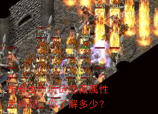 传奇生命项链隐藏属性大揭秘,你了解多少? 传奇生命项链隐藏属性大揭秘,你了解多少?