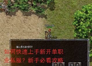 如何快速上手新开单职业私服?新手必看攻略 如何快速上手新开单职业私服?新手必看攻略