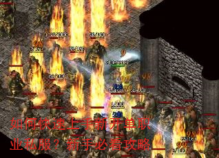 如何快速上手新开单职业私服?新手必看攻略 如何快速上手新开单职业私服?新手必看攻略