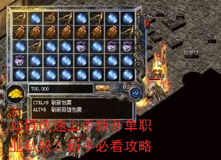 如何快速上手新开单职业私服?新手必看攻略 如何快速上手新开单职业私服?新手必看攻略