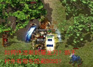 ��ο���ˢ�������������ִ�������Щ����BOSS��