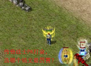 ����սʿPK���ѡ�ĸ�������������
