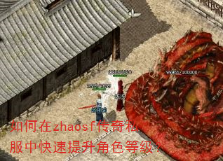 如何在zhaosf传奇私服中快速提升角色等级? 如何在zhaosf传奇私服中快速提升角色等级?