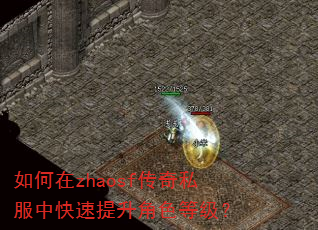 如何在zhaosf传奇私服中快速提升角色等级? 如何在zhaosf传奇私服中快速提升角色等级?