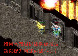 ��θ�Ч��֯�Ŷӽ�����������Ϸ��ս������