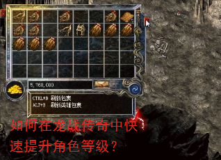 如何在龙战传奇中快速提升角色等级? 如何在龙战传奇中快速提升角色等级?