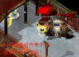 如何在龙战传奇中快速提升角色等级? 如何在龙战传奇中快速提升角色等级?