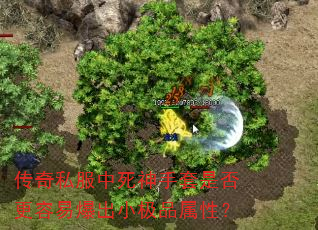 传奇私服中死神手套是否更容易爆出小极品属性? 传奇私服中死神手套是否更容易爆出小极品属性?