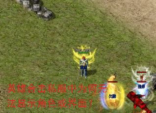 英雄合击私服中为何无法显示角色或界面? 英雄合击私服中为何无法显示角色或界面?