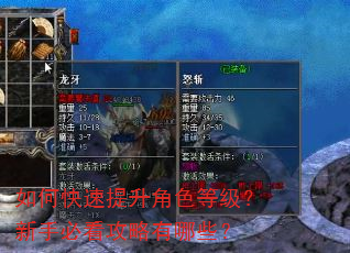 如何快速提升角色等级?新手必看攻略有哪些? 如何快速提升角色等级?新手必看攻略有哪些?