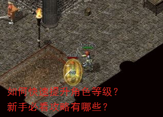 如何快速提升角色等级?新手必看攻略有哪些? 如何快速提升角色等级?新手必看攻略有哪些?
