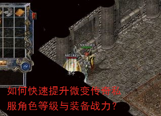 如何快速提升微变传奇私服角色等级与装备战力? 如何快速提升微变传奇私服角色等级与装备战力?