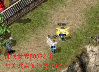 挑战世界BOSS?这些关键点你注意了吗? 挑战世界BOSS?这些关键点你注意了吗?