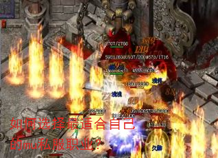 ���ѡ�����ʺ��Լ���mu˽��ְҵ��