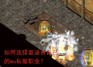 ���ѡ�����ʺ��Լ���mu˽��ְҵ��