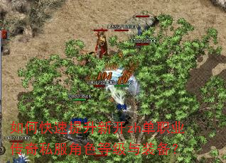 如何快速提升新开zh单职业传奇私服角色等级与装备? 如何快速提升新开zh单职业传奇私服角色等级与装备?