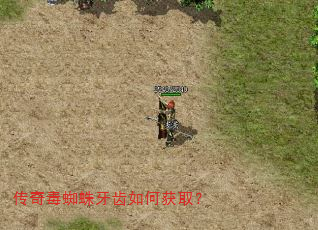传奇毒蜘蛛牙齿如何获取? 传奇毒蜘蛛牙齿如何获取?