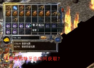 传奇毒蜘蛛牙齿如何获取? 传奇毒蜘蛛牙齿如何获取?