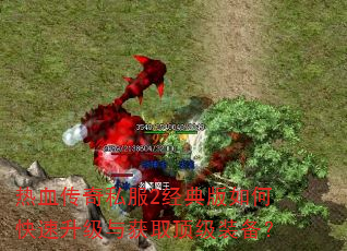 热血传奇私服2经典版如何快速升级与获取顶级装备? 热血传奇私服2经典版如何快速升级与获取顶级装备?