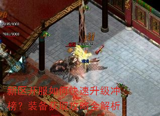 新区开服如何快速升级冲榜?装备获取攻略全解析 新区开服如何快速升级冲榜?装备获取攻略全解析