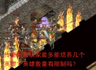 传奇新服玩家最多能培养几个英雄?英雄数量有限制吗? 传奇新服玩家最多能培养几个英雄?英雄数量有限制吗?