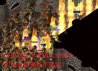 传奇私服十大排名中哪个职业最适合新手玩家? 传奇私服十大排名中哪个职业最适合新手玩家?