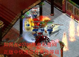 如何在40788传奇私服网正版中快速提升角色等级? 如何在40788传奇私服网正版中快速提升角色等级?