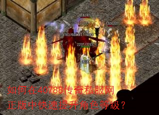 如何在40788传奇私服网正版中快速提升角色等级? 如何在40788传奇私服网正版中快速提升角色等级?