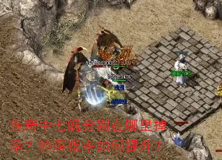 传奇中七魄分别在哪里掉落?掉落概率如何提升? 传奇中七魄分别在哪里掉落?掉落概率如何提升?