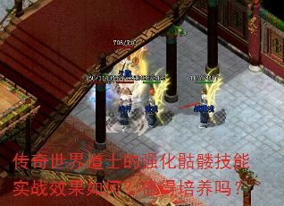 传奇世界道士的强化骷髅技能实战效果如何?值得培养吗? 传奇世界道士的强化骷髅技能实战效果如何?值得培养吗?