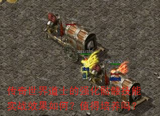传奇世界道士的强化骷髅技能实战效果如何?值得培养吗? 传奇世界道士的强化骷髅技能实战效果如何?值得培养吗?