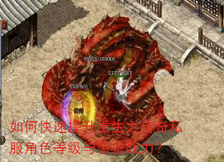 如何快速提升重生之传奇私服角色等级与装备战力? 如何快速提升重生之传奇私服角色等级与装备战力?
