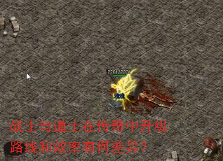 战士与道士在传奇中升级路线和效率有何差异? 战士与道士在传奇中升级路线和效率有何差异?