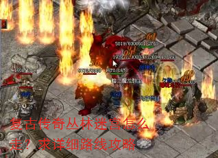 复古传奇丛林迷宫怎么走?求详细路线攻略 复古传奇丛林迷宫怎么走?求详细路线攻略