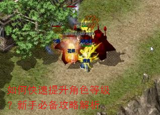 如何快速提升角色等级?新手必备攻略解析 如何快速提升角色等级?新手必备攻略解析