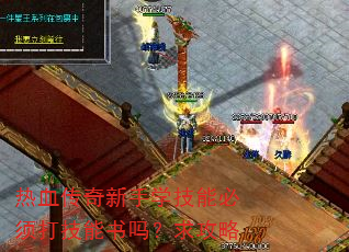 热血传奇新手学技能必须打技能书吗?求攻略 热血传奇新手学技能必须打技能书吗?求攻略