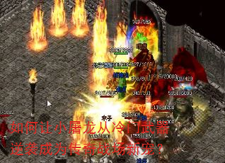 如何让小屠龙从冷门武器逆袭成为传奇战场新宠? 如何让小屠龙从冷门武器逆袭成为传奇战场新宠?