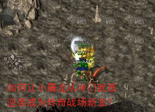 如何让小屠龙从冷门武器逆袭成为传奇战场新宠? 如何让小屠龙从冷门武器逆袭成为传奇战场新宠?
