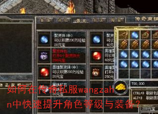 如何在传奇私服wangzahn中快速提升角色等级与装备? 如何在传奇私服wangzahn中快速提升角色等级与装备?