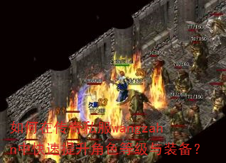 如何在传奇私服wangzahn中快速提升角色等级与装备? 如何在传奇私服wangzahn中快速提升角色等级与装备?