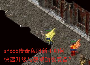 sf666传奇私服新手如何快速升级与获取顶级装备? sf666传奇私服新手如何快速升级与获取顶级装备?