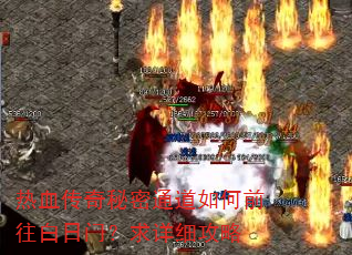 ��Ѫ��������ͨ�����ǰ�������ţ�����ϸ����