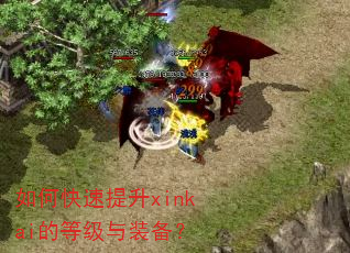 如何快速提升xinkai的等级与装备? 如何快速提升xinkai的等级与装备?