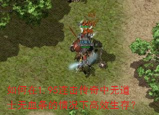 如何在1.95连击传奇中无道士无血条的情况下高效生存? 如何在1.95连击传奇中无道士无血条的情况下高效生存?