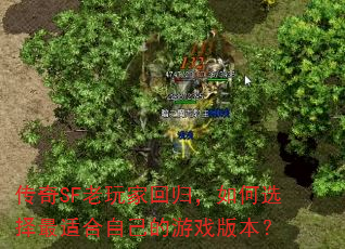 传奇SF老玩家回归,如何选择最适合自己的游戏版本? 传奇SF老玩家回归,如何选择最适合自己的游戏版本?